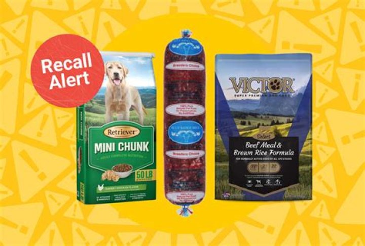 Unveiling The Truth Behind Kinetic Dog Food Recalls: Discoveries And Insights